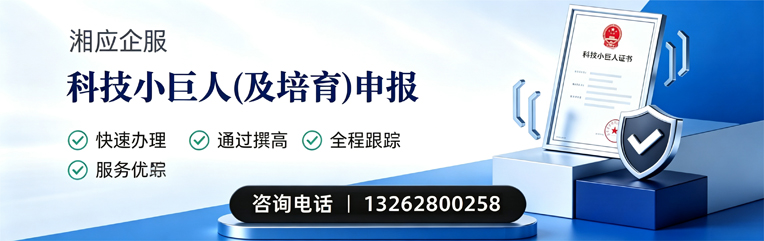 铜仁科技小巨人及培育企业申报服务