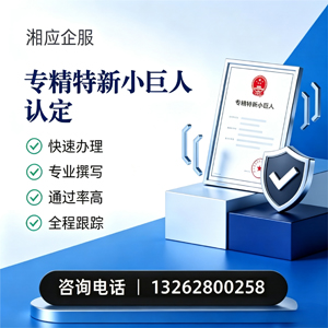 铜仁专精特新小巨人申报服务