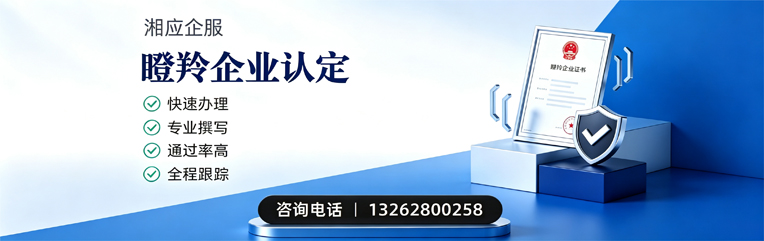 铜仁瞪羚企业认定申报服务