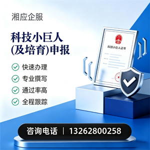 铜仁科技小巨人及培育企业申报服务