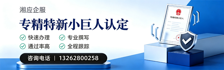 铜仁专精特新小巨人申报服务